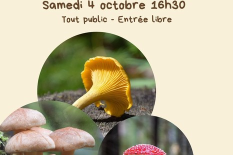 Conférence sur les champignons